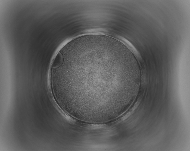 X0000110761196200906151259