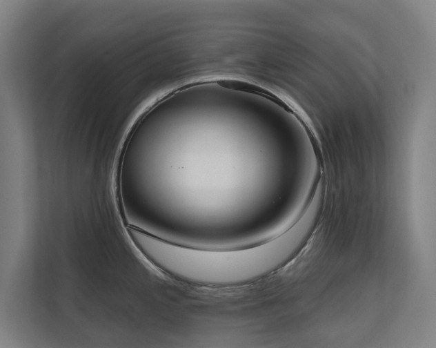 X0000110761197200906151259