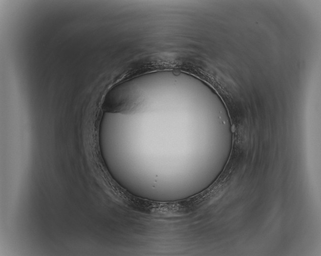 X0000110761201200906151259
