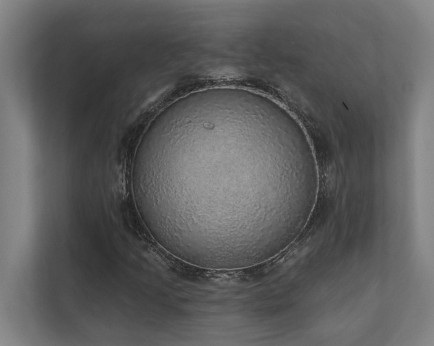X0000110761205200906151259