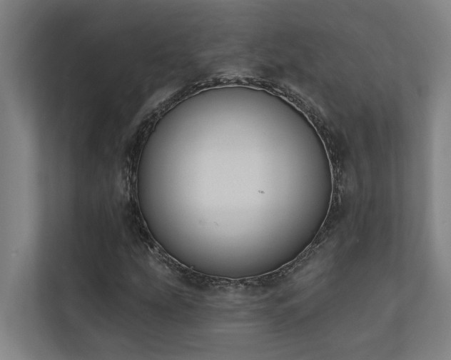 X0000110761207200906151259