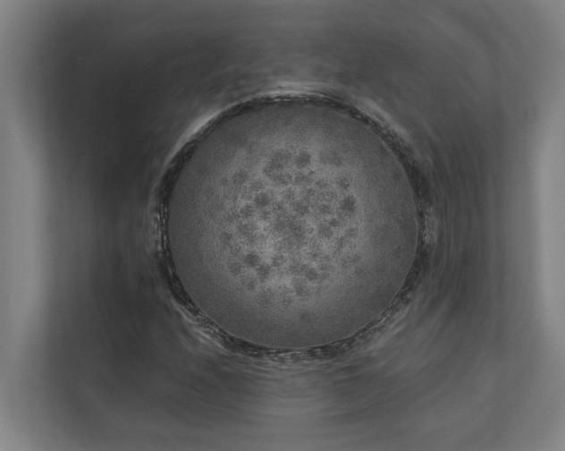 X0000110761208200906151259