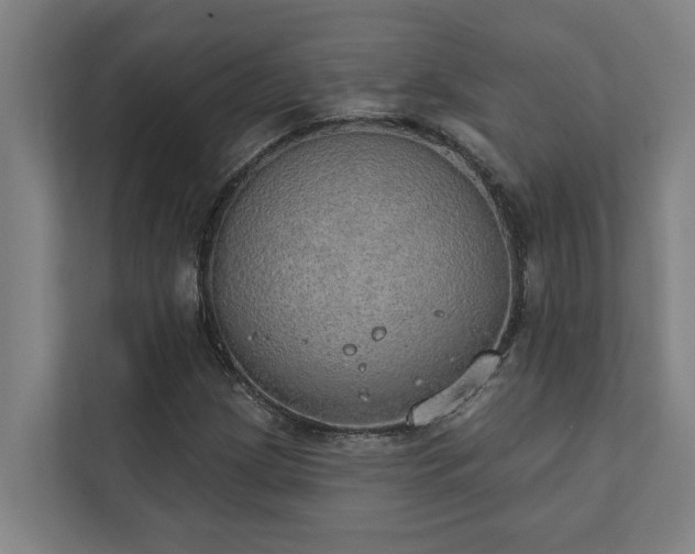 X0000110761209200906151259