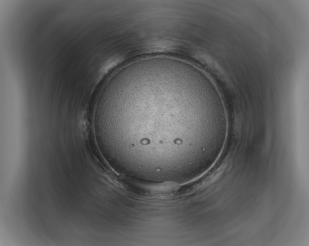 X0000110761210200906151259