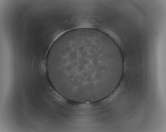 X0000110761212200906151259