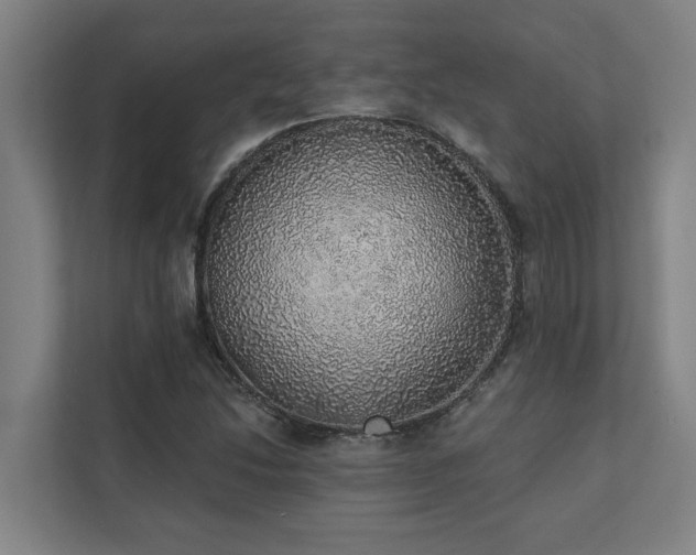 X0000110761214200906151259