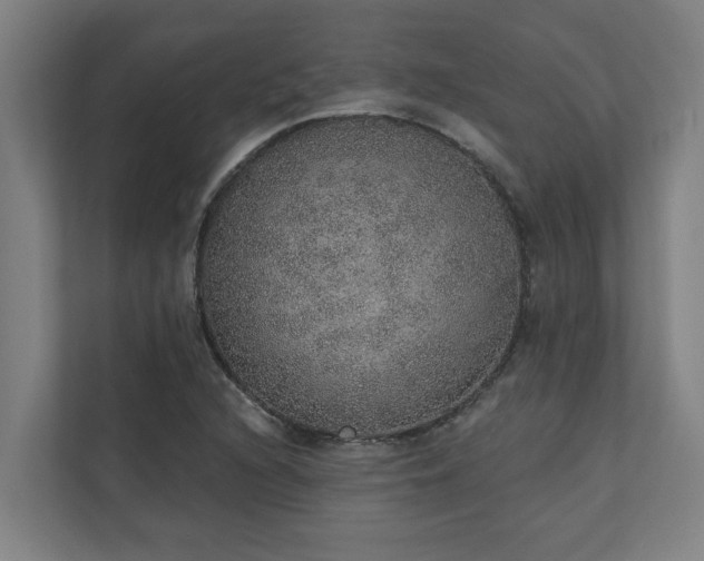 X0000110761216200906151259