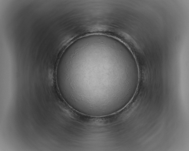 X0000110761217200906151259