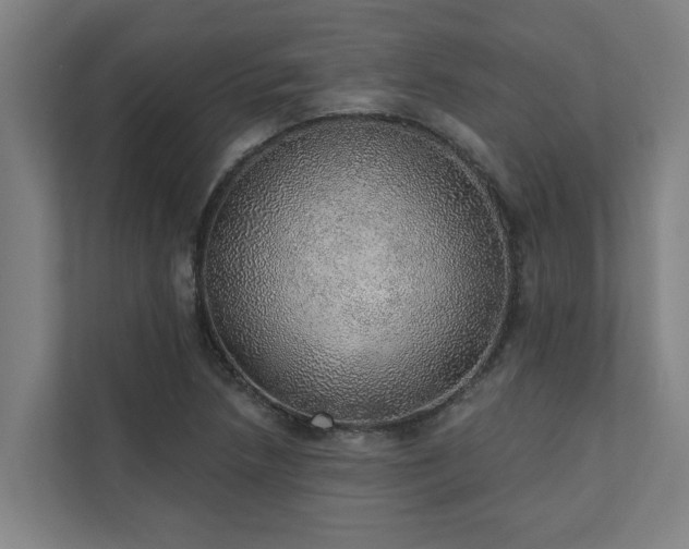 X0000110761218200906151259