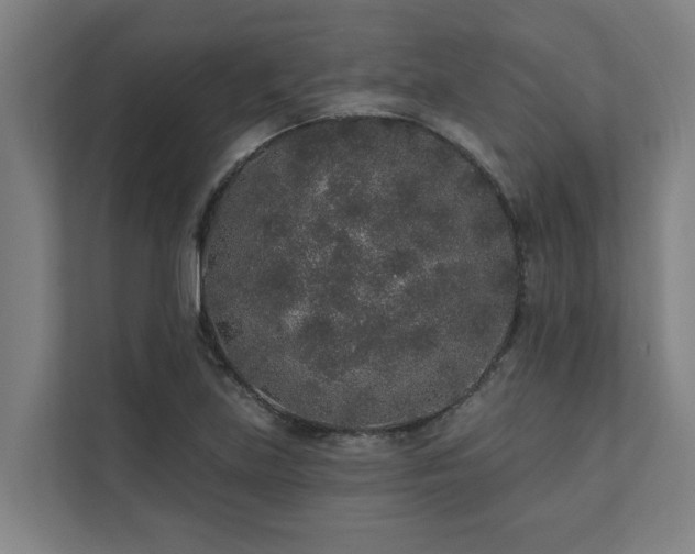 X0000110761219200906151259