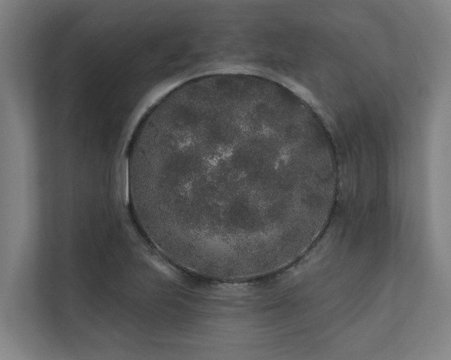 X0000110761223200906151259