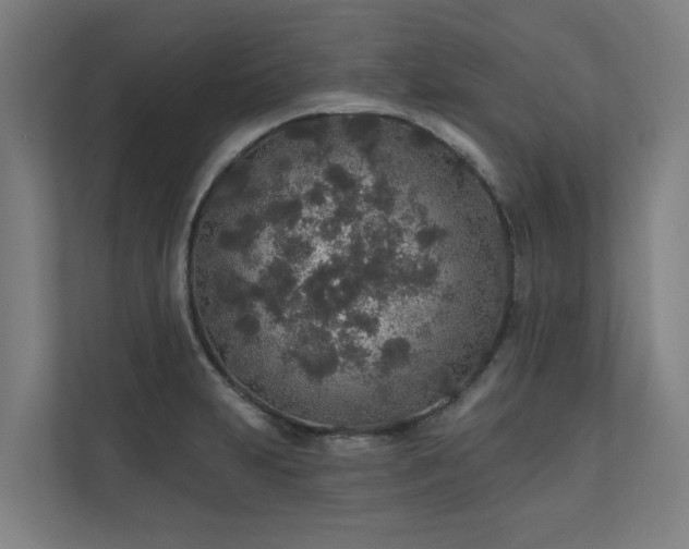 X0000110761231200906151259