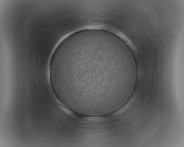 X0000110761232200906151259