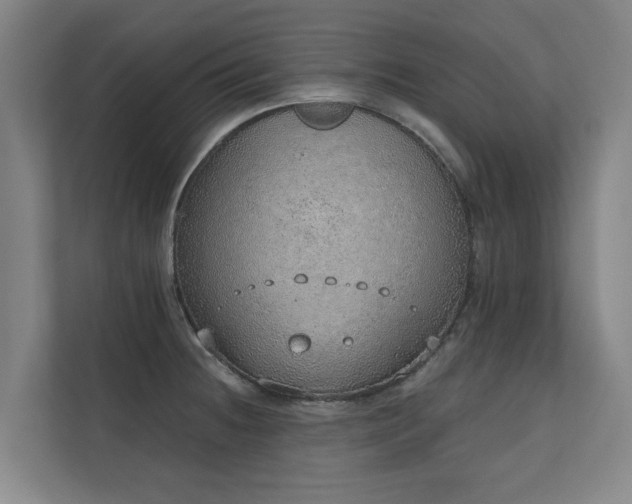 X0000110761236200906151259