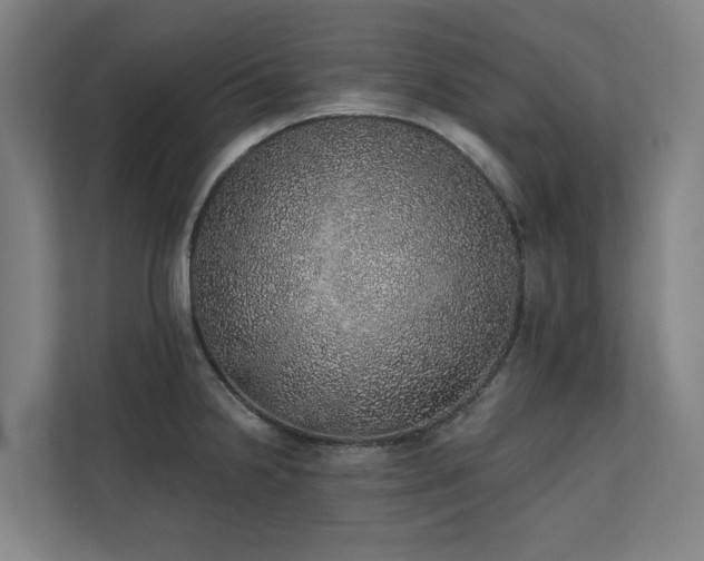 X0000110761238200906151259