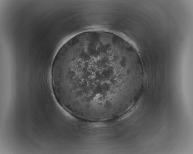 X0000110761239200906151259