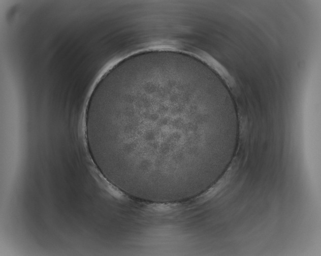 X0000110761240200906151259