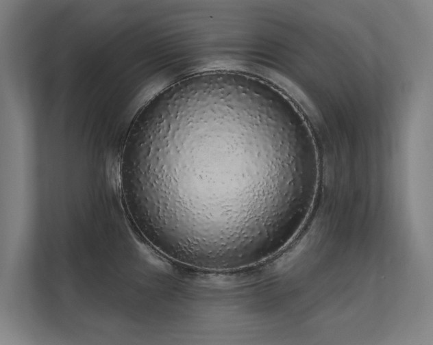 X0000110761241200906151259