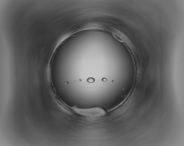 X0000110761242200906151259