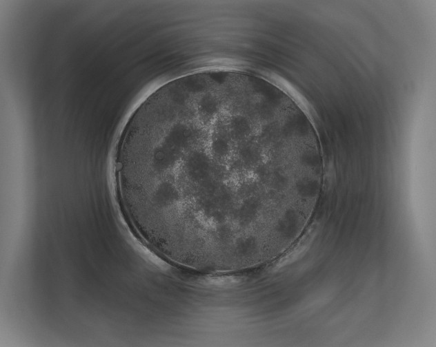 X0000110761243200906151259