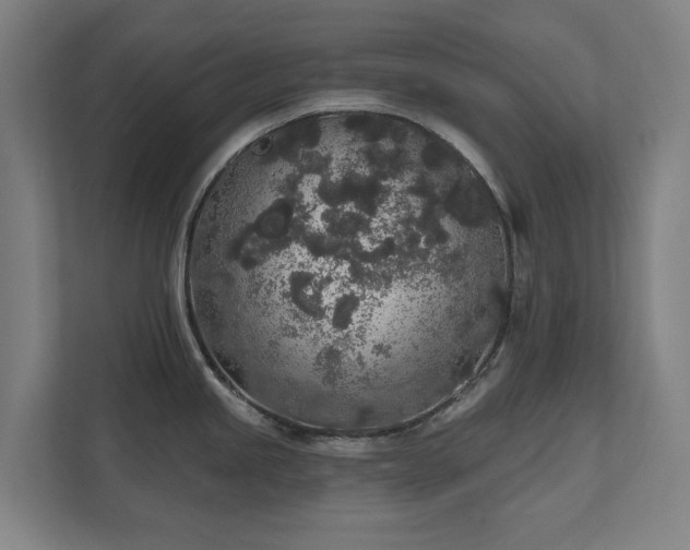 X0000110761245200906151259