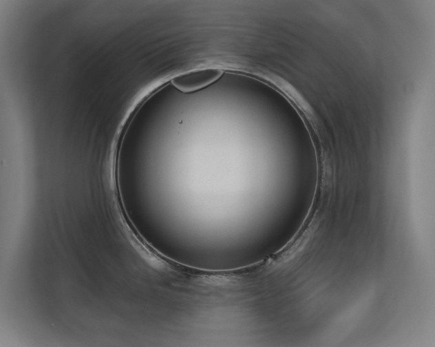 X0000110761246200906151259