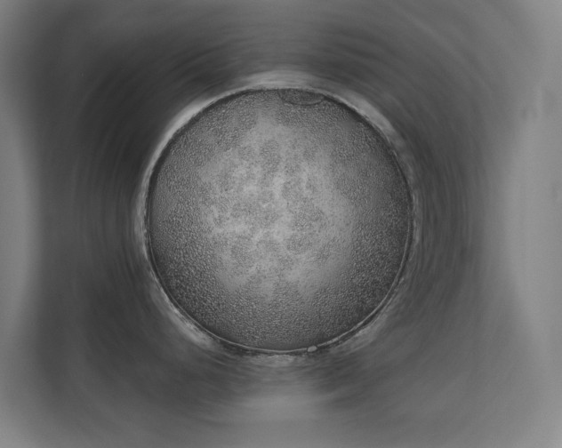 X0000110761248200906151259