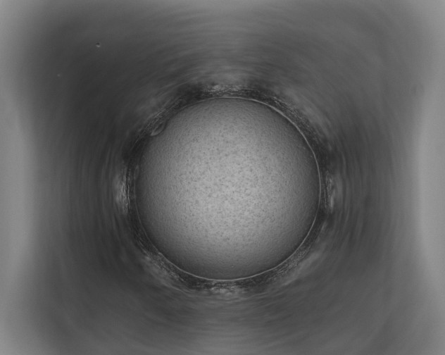 X0000110761250200906151259