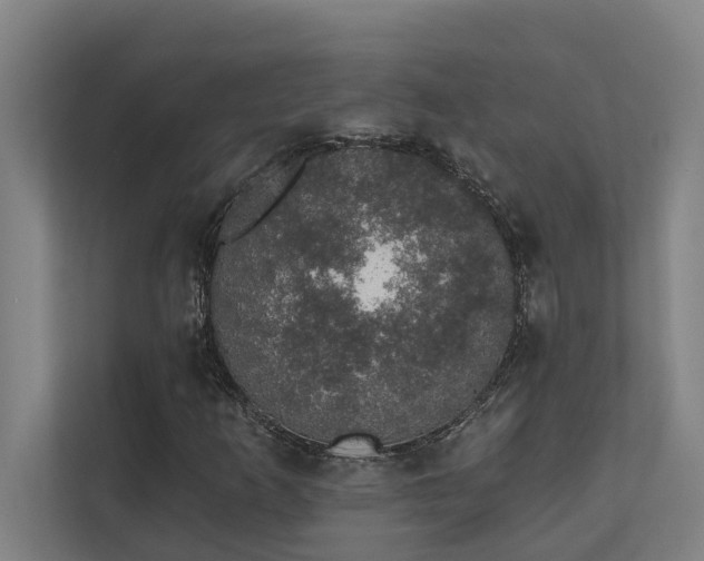 X0000110761253200906151259