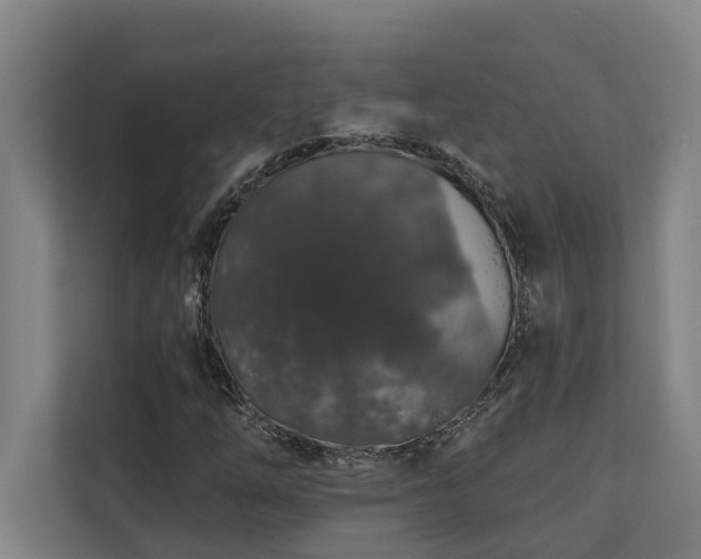 X0000110761254200906151259