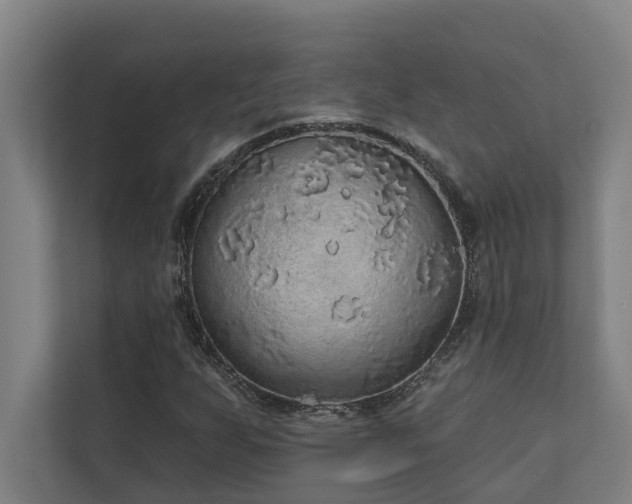 X0000110761255200906151259