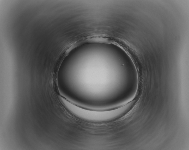 X0000110761257200906151259