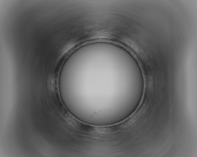 X0000110761258200906151259