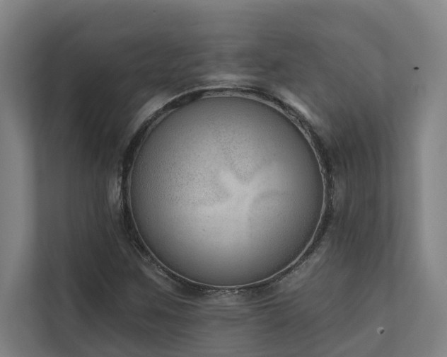 X0000110761259200906151259