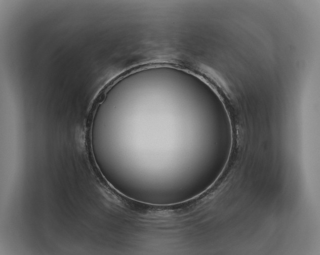 X0000110761260200906151259