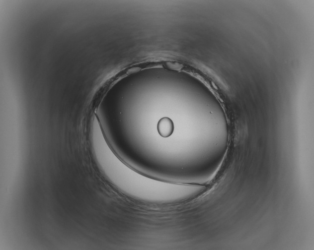 X0000110761261200906151259