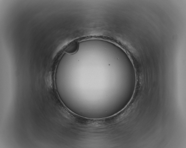 X0000110761262200906151258