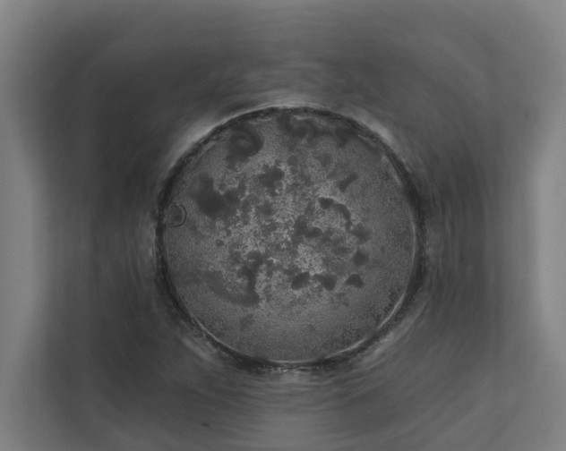 X0000110761263200906151258