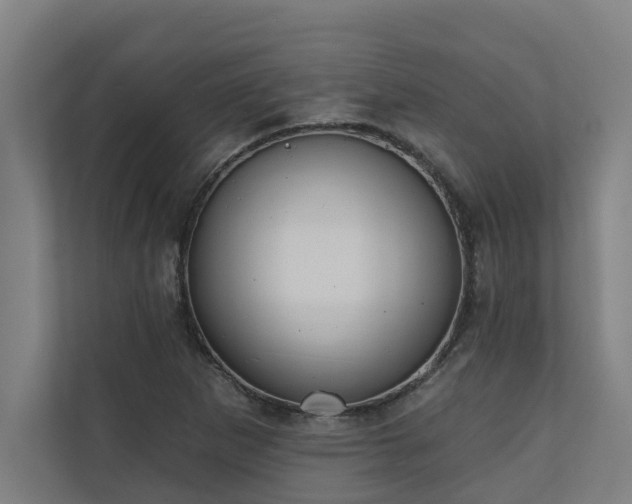X0000110761265200906151258