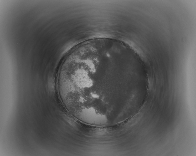 X0000110761266200906151258