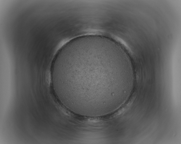 X0000110761267200906151258