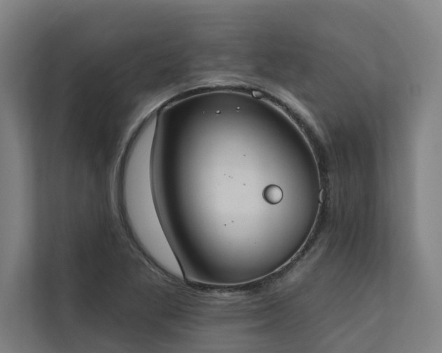 X0000110761269200906151258