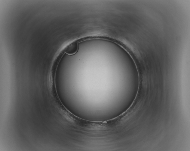 X0000110761270200906151258