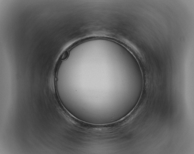 X0000110761272200906151258