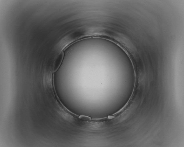 X0000110761273200906151258