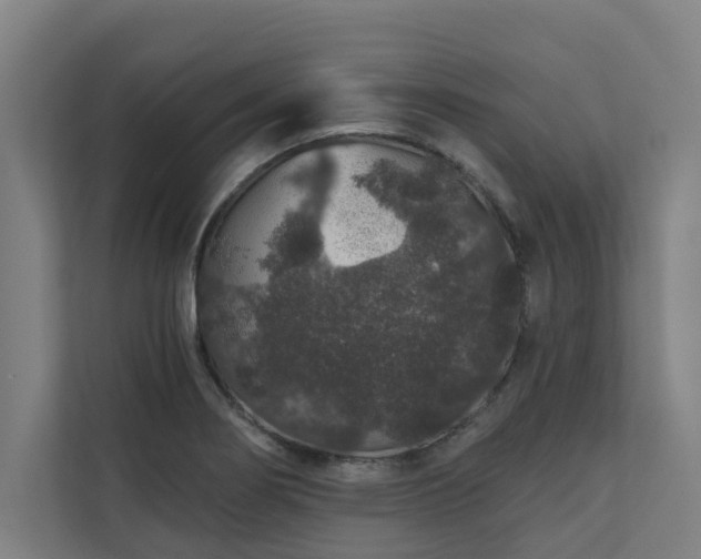 X0000110761274200906151258