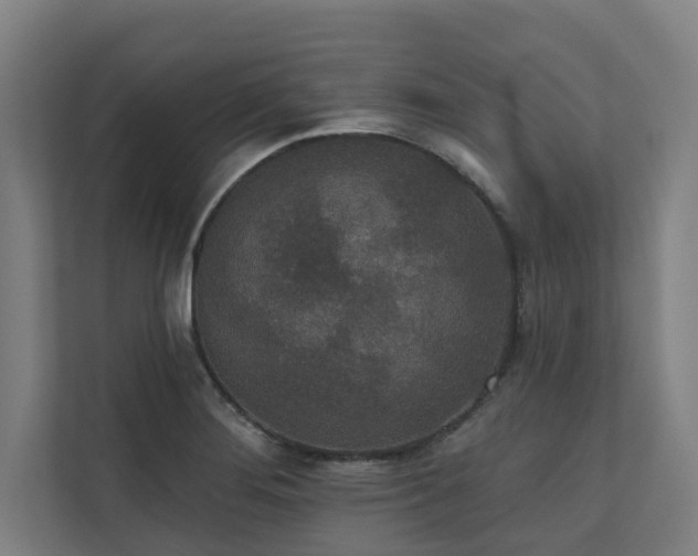 X0000110761276200906151258