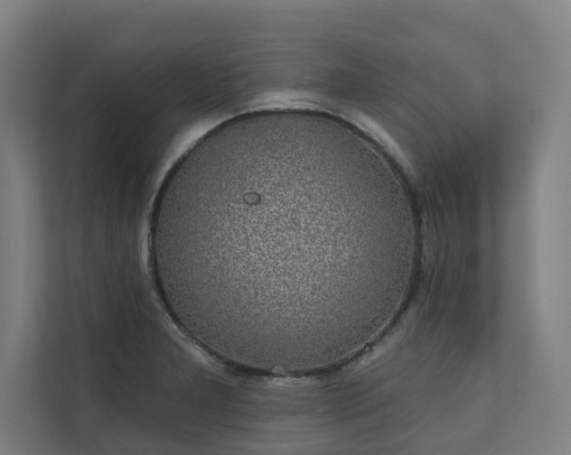 X0000110761277200906151258