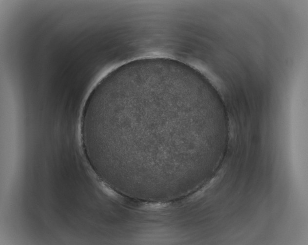 X0000110761278200906151258