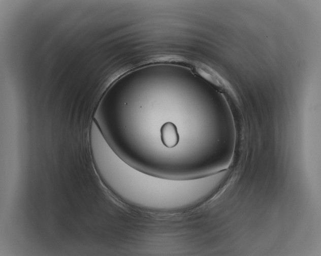 X0000110761281200906151258